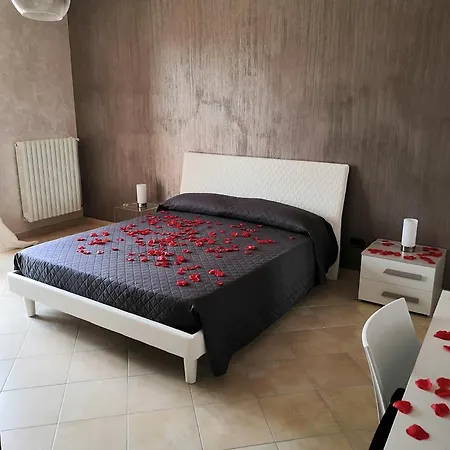 Oasi 210 *